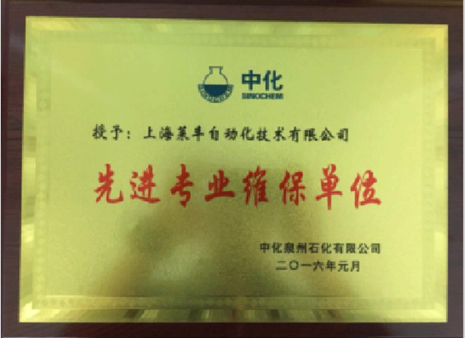 先進專業(yè)維保單位